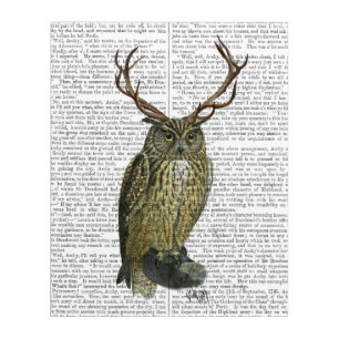 Owl with Antlers Acrylic Print