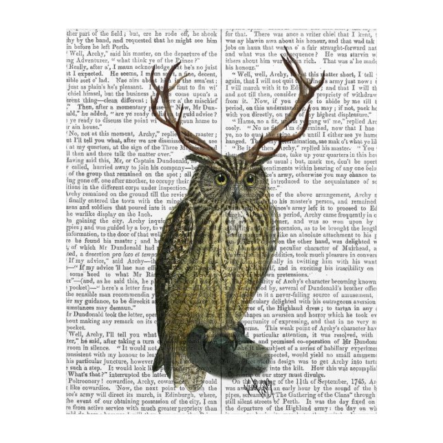 Owl with Antlers Acrylic Print (Front)