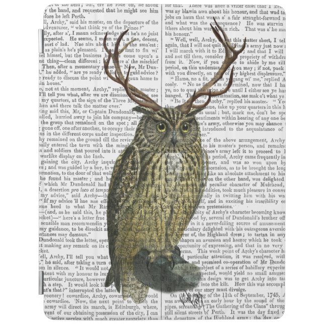 Owl with Antlers plain 2 iPad Air Cover (Front)