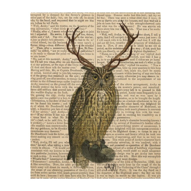 Owl with Antlers Wood Wall Decor (Front)