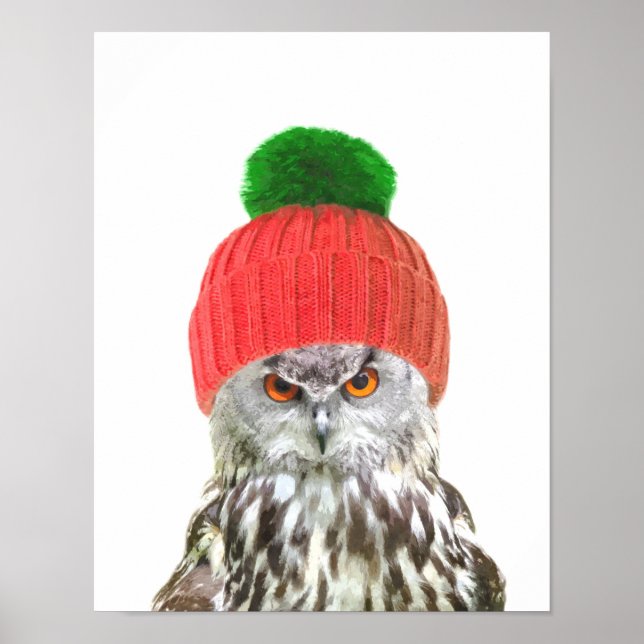 Owl with cap funny animal portrait poster (Front)
