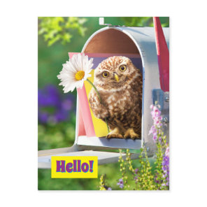 Owl With Flower In Mailbox Invitation Postcard