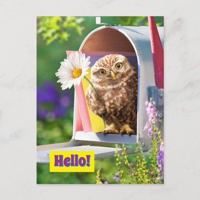 Owl With Flower In Mailbox Invitation Postcard (Front)