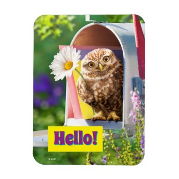 Owl With Flower In Mailbox Magnet by AvantiPress at Zazzle