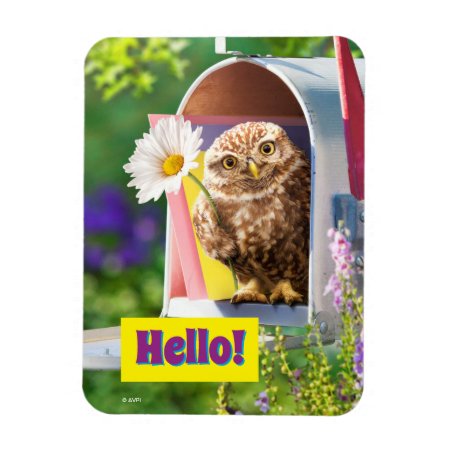 Owl With Flower In Mailbox Magnet