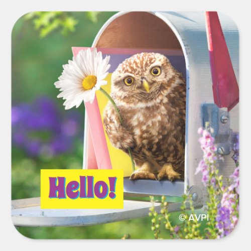 Owl With Flower In Mailbox Square Sticker