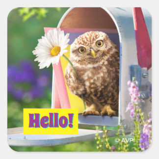 Owl With Flower In Mailbox Square Sticker