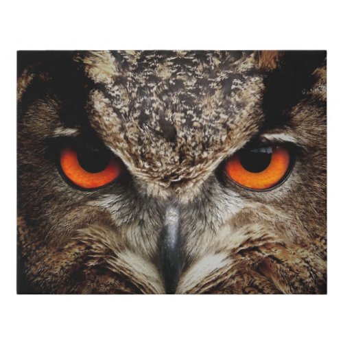 Owl with Orange Eyes Color Faux Canvas Print