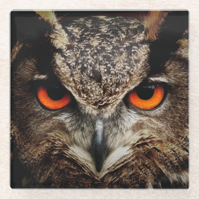 Owl with Orange Eyes Color Glass Coaster (Front)