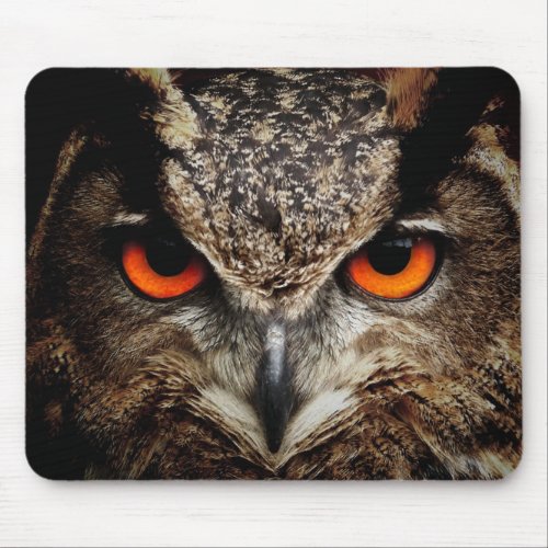 Owl with Orange Eyes Color Mouse Pad