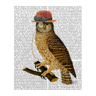 Owl with Steampunk Style Bowler Hat Acrylic Print