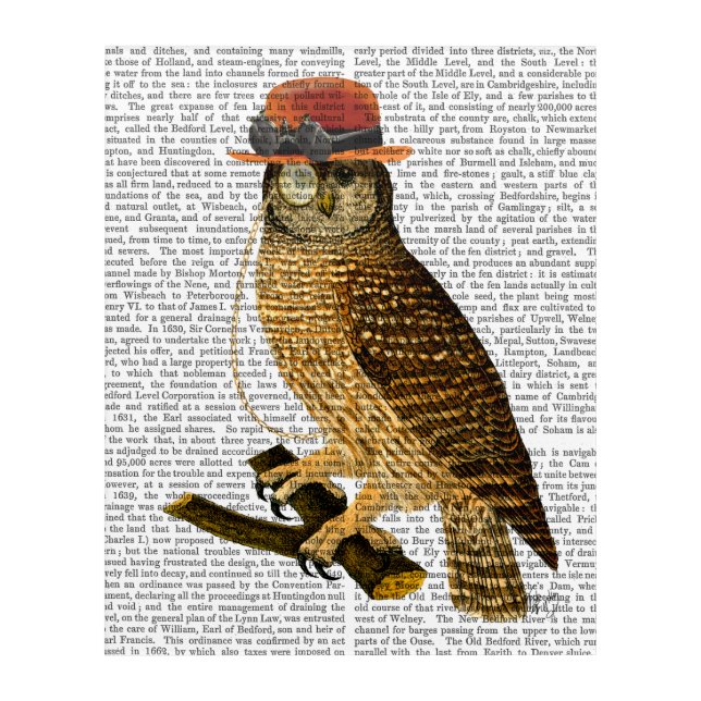 Owl with Steampunk Style Bowler Hat Acrylic Print (Front)