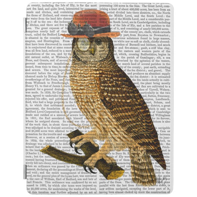 Owl with Steampunk Style Bowler Hat iPad Air Cover (Front)