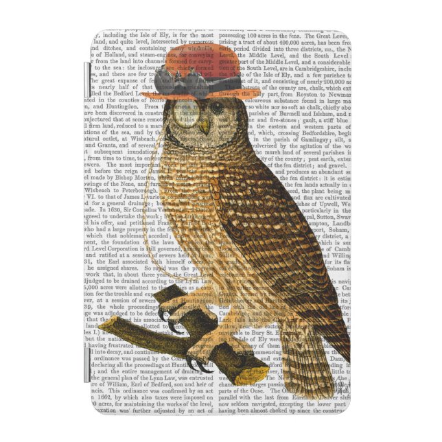 Owl with Steampunk Style Bowler Hat iPad Mini Cover (Front)