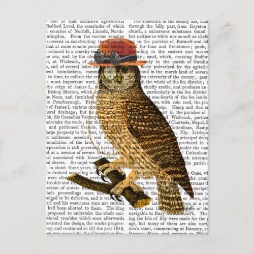 Owl with Steampunk Style Bowler Hat Postcard