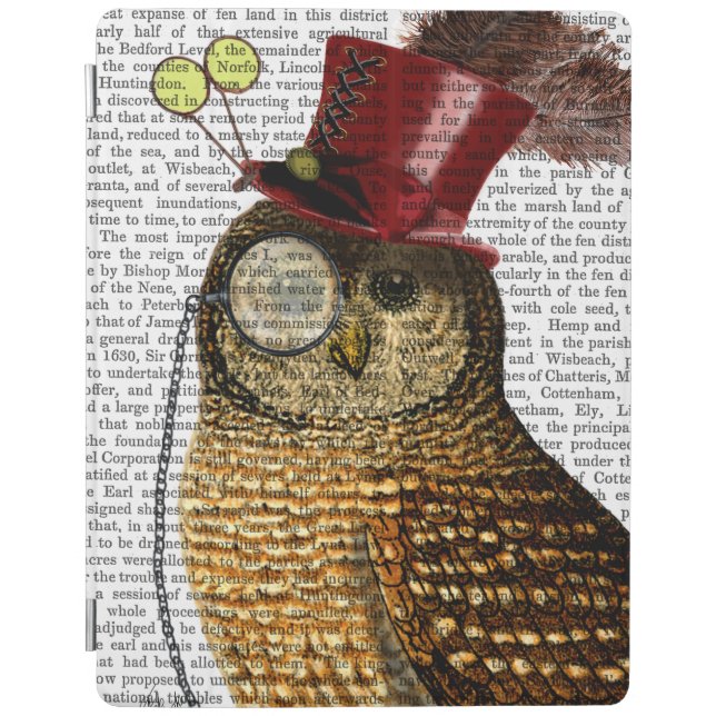 Owl With Top Hat 3 iPad Air Cover (Front)