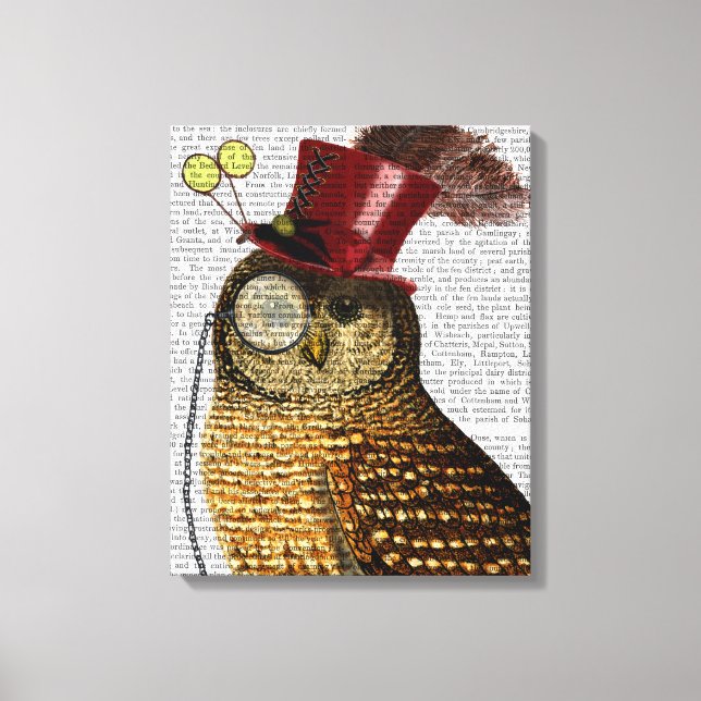 Owl With Top Hat Canvas Print (Front)