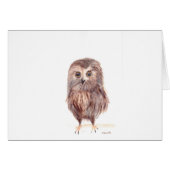 Owl woodland bird (Front Horizontal)