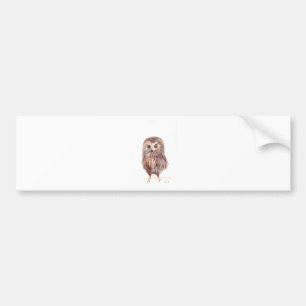 Owl woodland bird bumper sticker