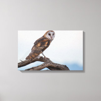 Owl Wrapped Canvas Print