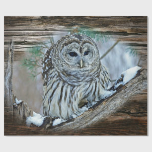 Owl Wrapping Paper