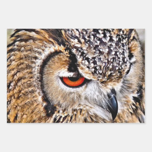 OWL WRAPPING PAPER SHEETS