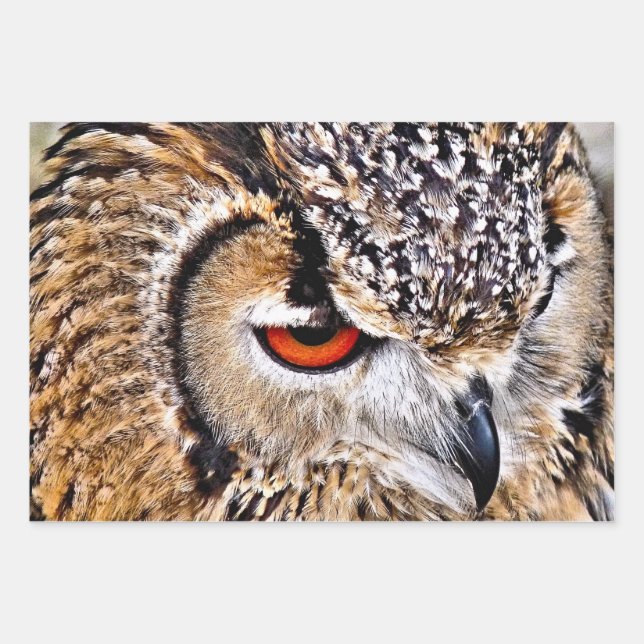 OWL WRAPPING PAPER SHEETS (Front)