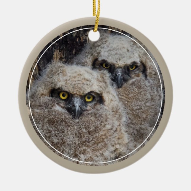 Owlets Ceramic Ornament (Front)