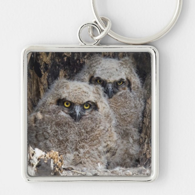 Owlets Keychain (Front)