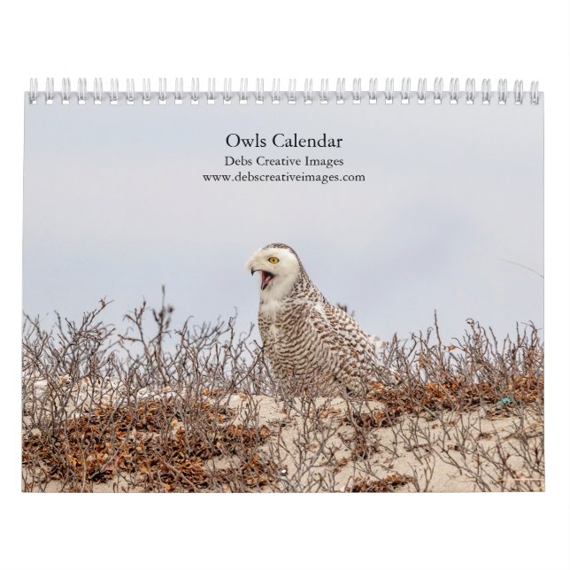 Owls 2026 calendar (Cover)