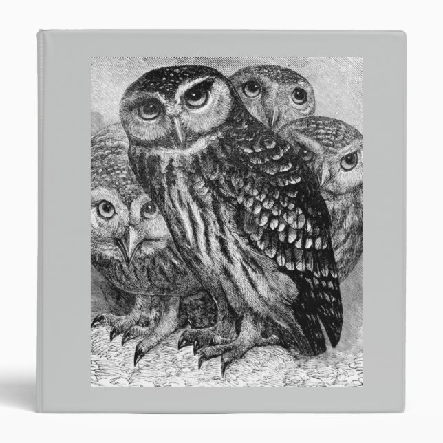 Owls 3 Ring Binder (Front)