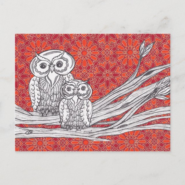 Owls 41 Postcard (Front)