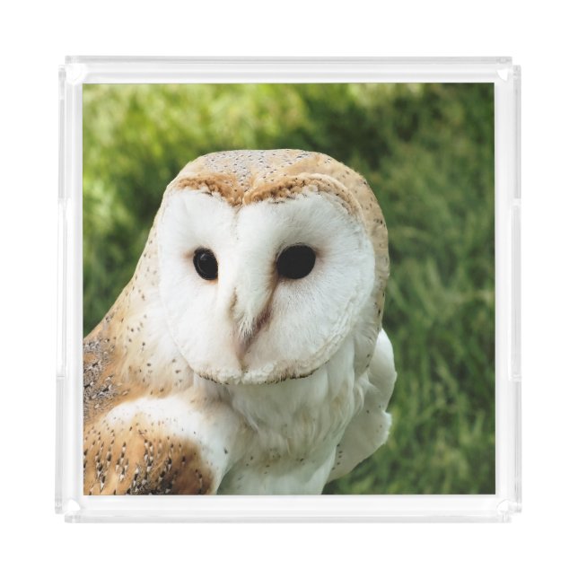 OWLS ACRYLIC TRAY (Front)