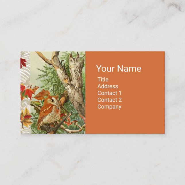 OWLS AMONG FALL LEAVES IN WOODLAND BUSINESS CARD (Front)
