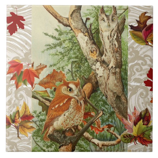 OWLS AMONG FALL LEAVES IN WOODLAND CERAMIC TILE (Front)