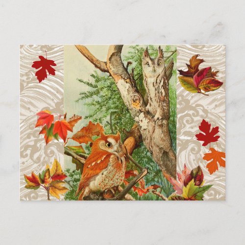 OWLS AMONG FALL LEAVES IN WOODLAND POSTCARD