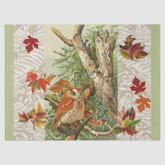 OWLS AMONG FALL LEAVES IN WOODLAND TISSUE PAPER (Front)
