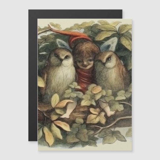 Owls and Elf Fairies Nature Illustration (Front/Back)