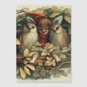 Owls and Elf Fairies Nature Illustration (Front)