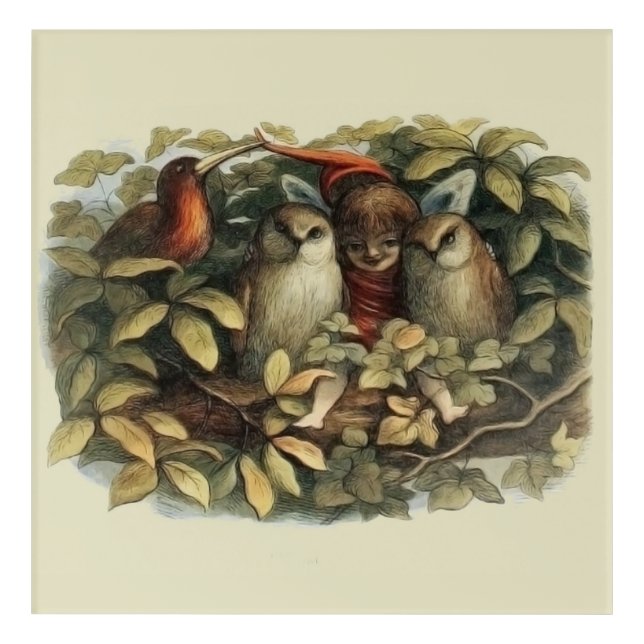 Owls and Elf Fairies Nature Illustration Acrylic Print (Front)