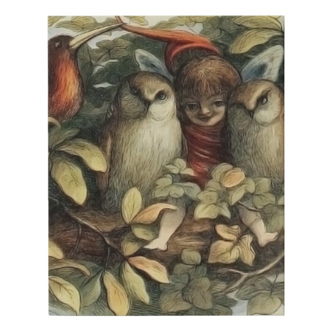 Owls and Elf Fairies Nature Illustration Faux Canvas Print (Front)