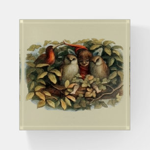 Owls and Elf Fairies Nature Illustration Paperweight