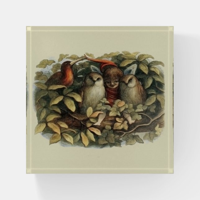 Owls and Elf Fairies Nature Illustration Paperweight (Front)