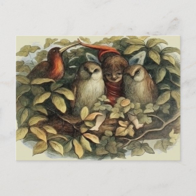Owls and Elf Fairies Nature Illustration Postcard (Front)