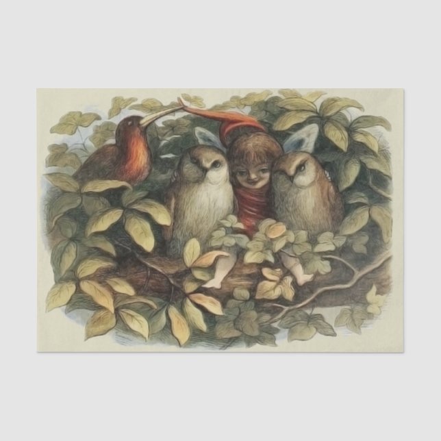 Owls and Elf Fairies Nature Illustration Tissue Paper (Front)