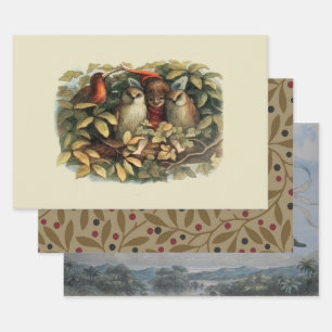 Owls and Elf Fairies Nature Illustration Wrapping Paper Sheets