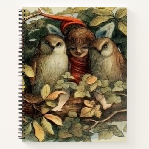 Owls and Elf Fairies Nature Rich Illustration Notebook