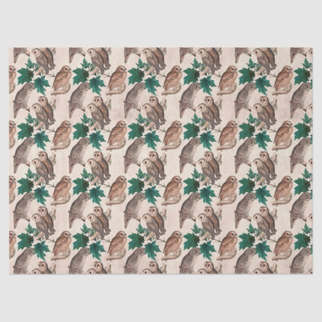 Owls and Leaves Decoupage Tissue Paper (Front)