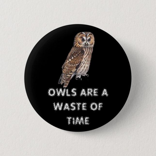 owls are a waste of time pinback button (Front)