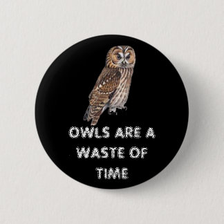 owls are a waste of time pinback button